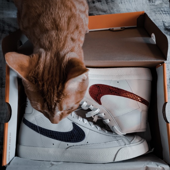 Meet your Posher, Phil - Picture 3 of 3